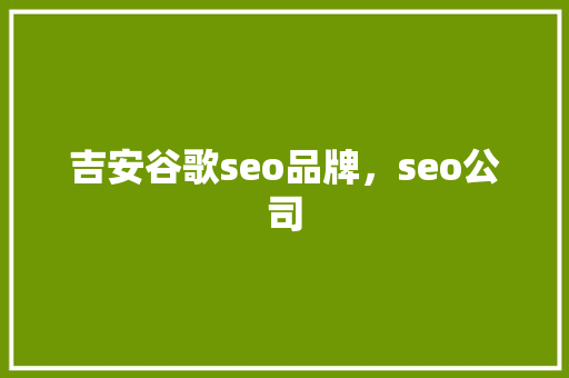 吉安谷歌seo品牌，seo公司