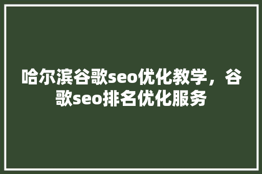 哈尔滨谷歌seo优化教学，谷歌seo排名优化服务