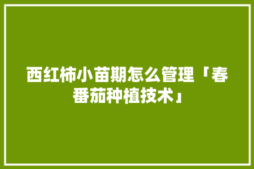 西红柿小苗期怎么管理「春番茄种植技术」 西红柿小苗期怎么管理「春番茄种植技术」 番茄病虫害防治