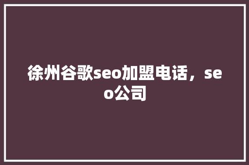 徐州谷歌seo加盟电话，seo公司