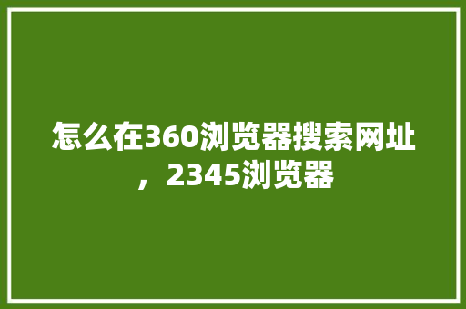 怎么在360浏览器搜索网址，2345浏览器