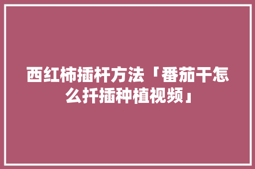 西红柿插杆方法「番茄干怎么扦插种植视频」 西红柿插杆方法「番茄干怎么扦插种植视频」 种植技巧