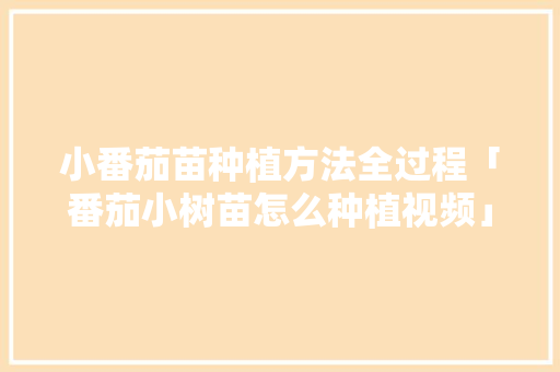 小番茄苗种植方法全过程「番茄小树苗怎么种植视频」 小番茄苗种植方法全过程「番茄小树苗怎么种植视频」 种植技巧