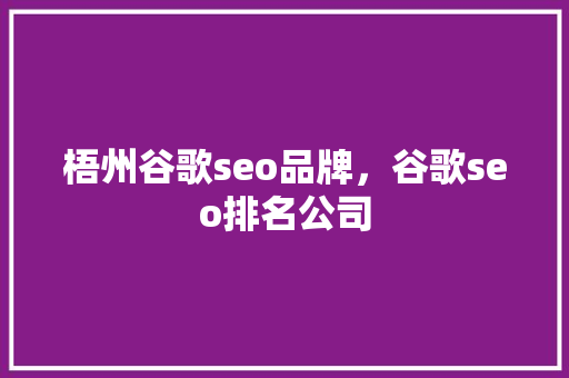 梧州谷歌seo品牌，谷歌seo排名公司