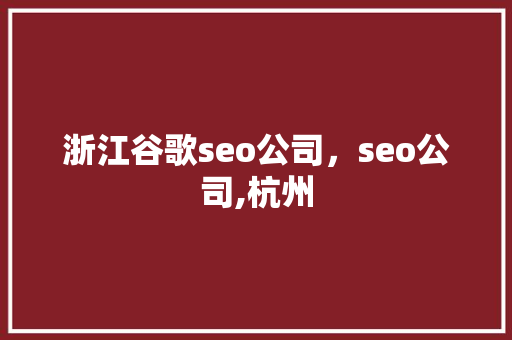 浙江谷歌seo公司，seo公司,杭州