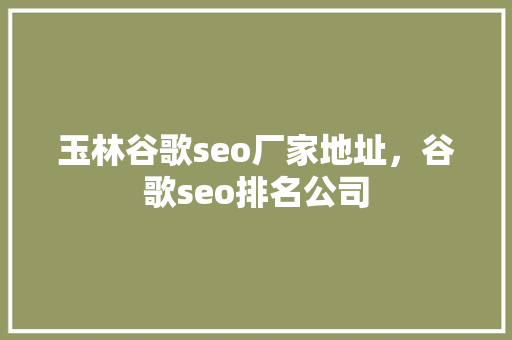 玉林谷歌seo厂家地址，谷歌seo排名公司
