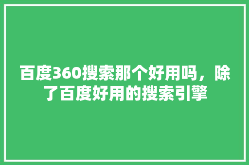 百度360搜索那个好用吗，除了百度好用的搜索引擎
