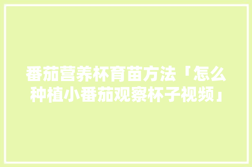 番茄营养杯育苗方法「怎么种植小番茄观察杯子视频」 番茄营养杯育苗方法「怎么种植小番茄观察杯子视频」 农业常识