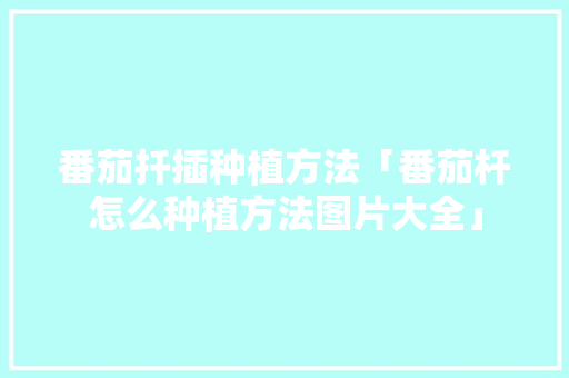 番茄扦插种植方法「番茄杆怎么种植方法图片大全」 番茄扦插种植方法「番茄杆怎么种植方法图片大全」 土壤施肥