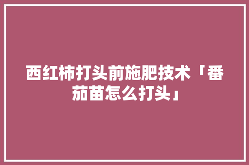 西红柿打头前施肥技术「番茄苗怎么打头」