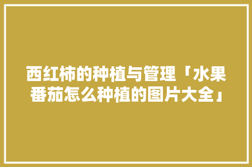 西红柿的种植与管理「水果番茄怎么种植的图片大全」 植物种类 西红柿的种植与管理「水果番茄怎么种植的图片大全」 西红柿的种植与管理「水果番茄怎么种植的图片大全」 植物种类