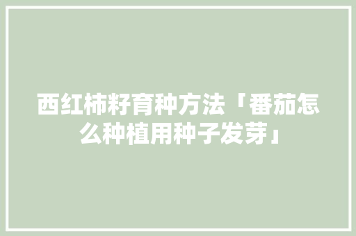 西红柿籽育种方法「番茄怎么种植用种子发芽」 西红柿籽育种方法「番茄怎么种植用种子发芽」 种植技巧