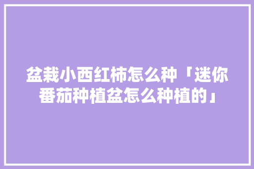 盆栽小西红柿怎么种「迷你番茄种植盆怎么种植的」 盆栽小西红柿怎么种「迷你番茄种植盆怎么种植的」 种植技巧