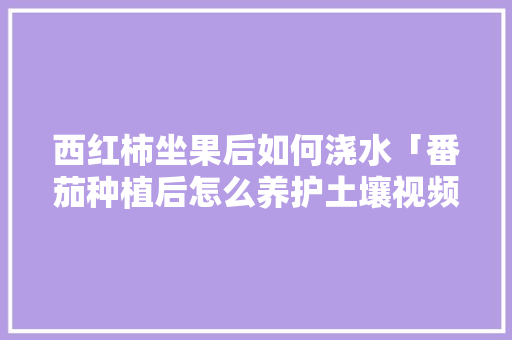 西红柿坐果后如何浇水「番茄种植后怎么养护土壤视频」 西红柿坐果后如何浇水「番茄种植后怎么养护土壤视频」 种植技巧