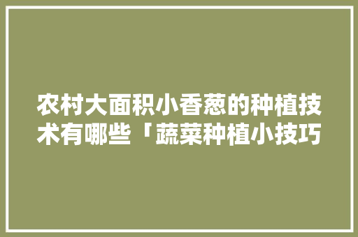 农村大面积小香葱的种植技术有哪些「蔬菜种植小技巧小视频教程」 农村大面积小香葱的种植技术有哪些「蔬菜种植小技巧小视频教程」 种植技巧