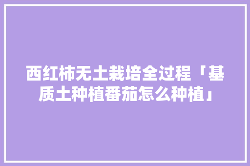 西红柿无土栽培全过程「基质土种植番茄怎么种植」 西红柿无土栽培全过程「基质土种植番茄怎么种植」 番茄种植技巧