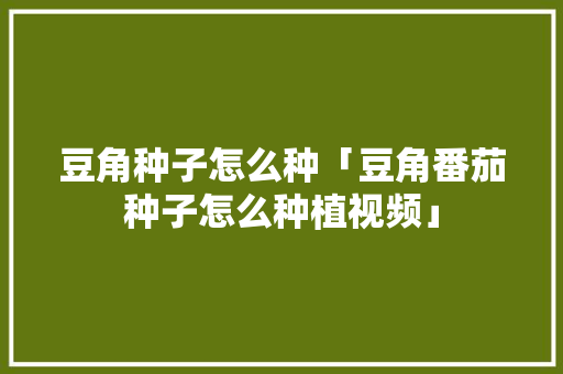 豆角种子怎么种「豆角番茄种子怎么种植视频」 豆角种子怎么种「豆角番茄种子怎么种植视频」 番茄种植技巧