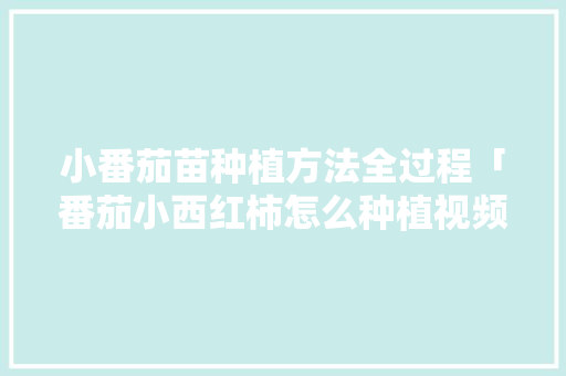 小番茄苗种植方法全过程「番茄小西红柿怎么种植视频」 小番茄苗种植方法全过程「番茄小西红柿怎么种植视频」 花朵知识