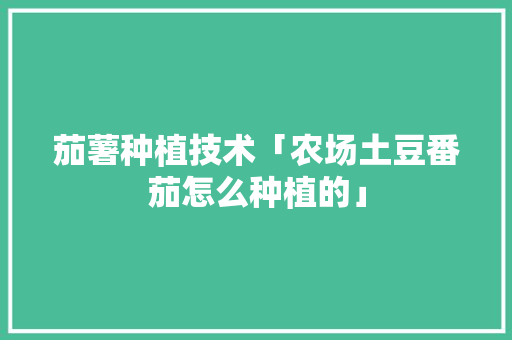 茄薯种植技术「农场土豆番茄怎么种植的」 茄薯种植技术「农场土豆番茄怎么种植的」 植物种类