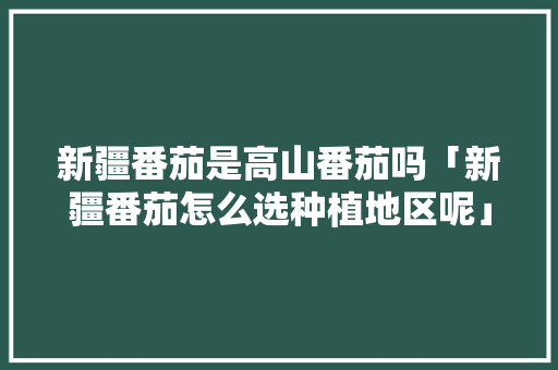 新疆番茄是高山番茄吗「新疆番茄怎么选种植地区呢」 新疆番茄是高山番茄吗「新疆番茄怎么选种植地区呢」 花朵知识