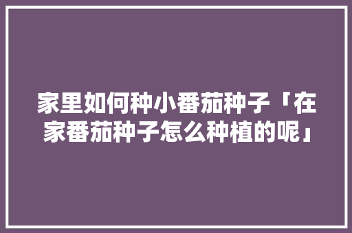 家里如何种小番茄种子「在家番茄种子怎么种植的呢」 家里如何种小番茄种子「在家番茄种子怎么种植的呢」 农业常识