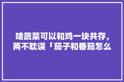 啥蔬菜可以和鸡一块共存，两不耽误「茄子和番茄怎么种植视频教程」 啥蔬菜可以和鸡一块共存，两不耽误「茄子和番茄怎么种植视频教程」 番茄种植技巧