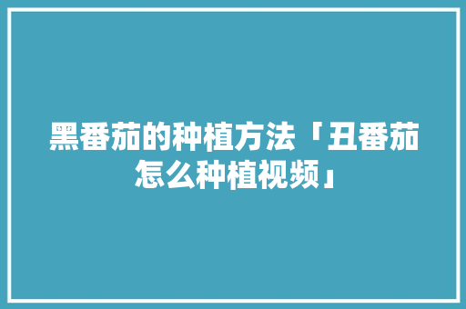 黑番茄的种植方法「丑番茄怎么种植视频」 黑番茄的种植方法「丑番茄怎么种植视频」 花朵知识