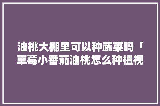 油桃大棚里可以种蔬菜吗「草莓小番茄油桃怎么种植视频」 油桃大棚里可以种蔬菜吗「草莓小番茄油桃怎么种植视频」 花朵知识