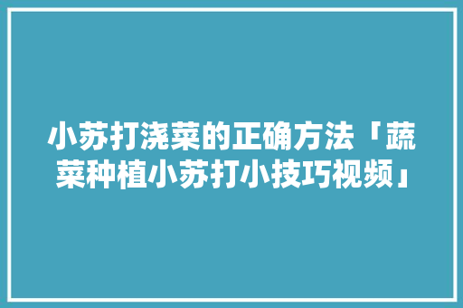 小苏打浇菜的正确方法「蔬菜种植小苏打小技巧视频」 小苏打浇菜的正确方法「蔬菜种植小苏打小技巧视频」 番茄种植技巧