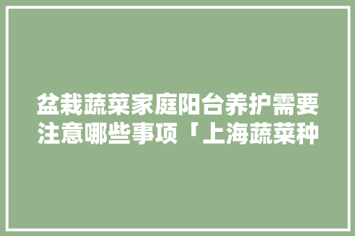 盆栽蔬菜家庭阳台养护需要注意哪些事项「上海蔬菜种植技巧视频教程」 盆栽蔬菜家庭阳台养护需要注意哪些事项「上海蔬菜种植技巧视频教程」 植物种类