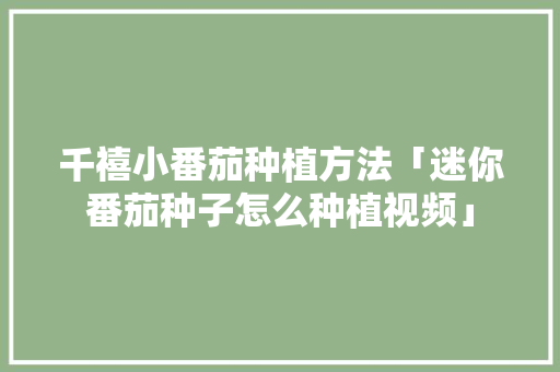 千禧小番茄种植方法「迷你番茄种子怎么种植视频」 千禧小番茄种植方法「迷你番茄种子怎么种植视频」 花朵知识