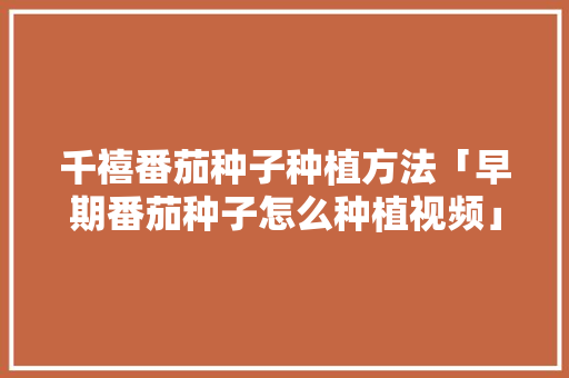 千禧番茄种子种植方法「早期番茄种子怎么种植视频」 千禧番茄种子种植方法「早期番茄种子怎么种植视频」 番茄种植技巧