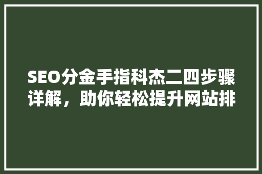 SEO分金手指科杰二四步骤详解，助你轻松提升网站排名