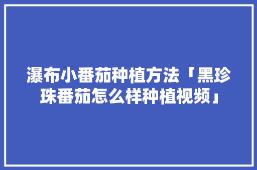 瀑布小番茄种植方法「黑珍珠番茄怎么样种植视频」 瀑布小番茄种植方法「黑珍珠番茄怎么样种植视频」 番茄种植技巧