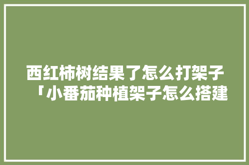 西红柿树结果了怎么打架子「小番茄种植架子怎么搭建视频」 西红柿树结果了怎么打架子「小番茄种植架子怎么搭建视频」 番茄病虫害防治