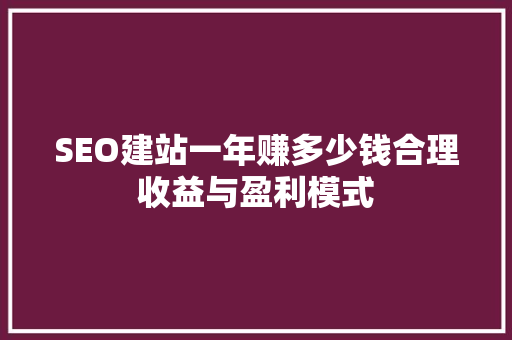 SEO建站一年赚多少钱合理收益与盈利模式