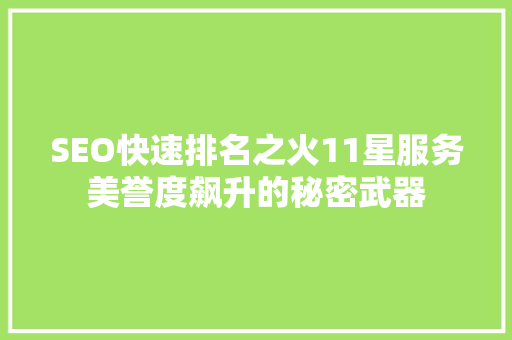 SEO快速排名之火11星服务美誉度飙升的秘密武器