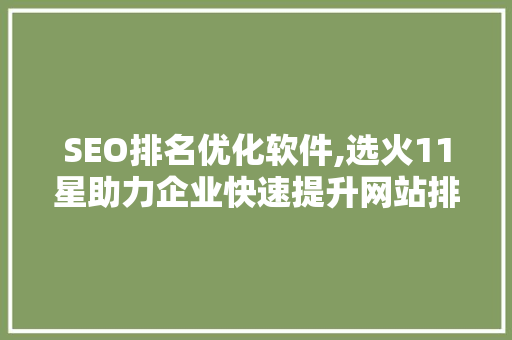 SEO排名优化软件,选火11星助力企业快速提升网站排名的得力助手