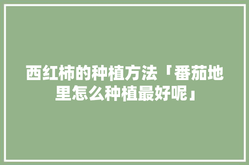 西红柿的种植方法「番茄地里怎么种植最好呢」 西红柿的种植方法「番茄地里怎么种植最好呢」 番茄种植技巧