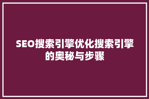 SEO搜索引擎优化搜索引擎的奥秘与步骤