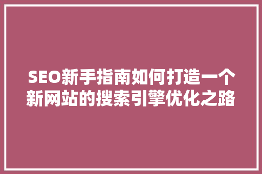 SEO新手指南如何打造一个新网站的搜索引擎优化之路