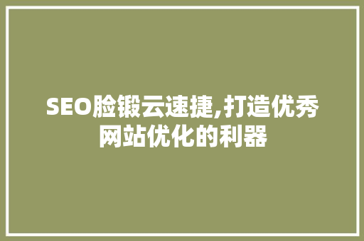 SEO脸锻云速捷,打造优秀网站优化的利器