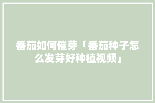 番茄如何催芽「番茄种子怎么发芽好种植视频」 种植技巧 番茄如何催芽「番茄种子怎么发芽好种植视频」 番茄如何催芽「番茄种子怎么发芽好种植视频」 种植技巧