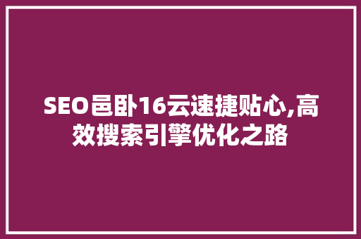 SEO邑卧16云速捷贴心,高效搜索引擎优化之路