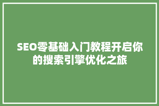 SEO零基础入门教程开启你的搜索引擎优化之旅