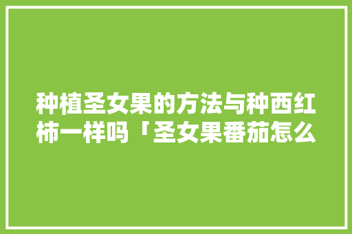 种植圣女果的方法与种西红柿一样吗「圣女果番茄怎么种植视频」 种植圣女果的方法与种西红柿一样吗「圣女果番茄怎么种植视频」 花朵知识