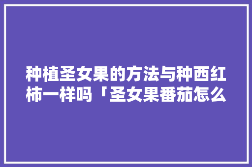 种植圣女果的方法与种西红柿一样吗「圣女果番茄怎么种植视频」 种植圣女果的方法与种西红柿一样吗「圣女果番茄怎么种植视频」 番茄病虫害防治