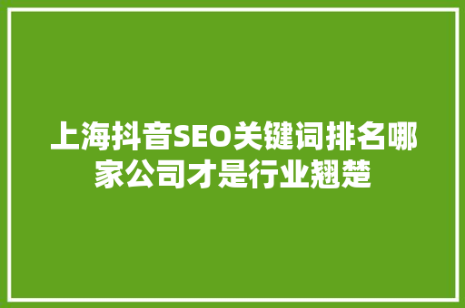 上海抖音SEO关键词排名哪家公司才是行业翘楚