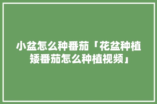 小盆怎么种番茄「花盆种植矮番茄怎么种植视频」 小盆怎么种番茄「花盆种植矮番茄怎么种植视频」 花朵知识