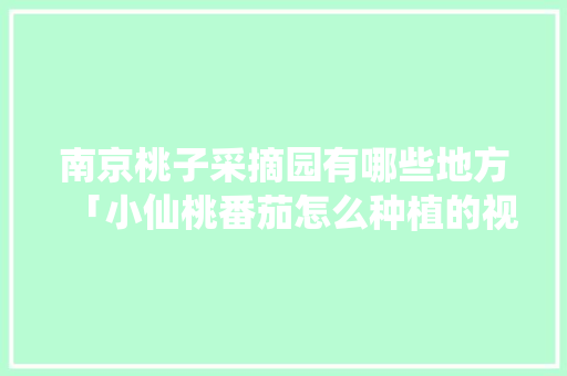 南京桃子采摘园有哪些地方「小仙桃番茄怎么种植的视频」